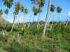 100-0021_IMG.JPG (225954 octets)