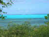 100-0030_IMG.JPG (150611 octets)