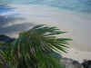 100-0034_IMG.JPG (127969 octets)
