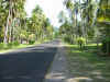 100-0038_IMG.JPG (198922 octets)